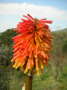 Home Page Image